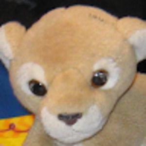 Meet your Posher, Bethany